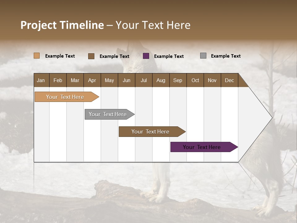 Lone Wolf Howling In Winter. PowerPoint Template