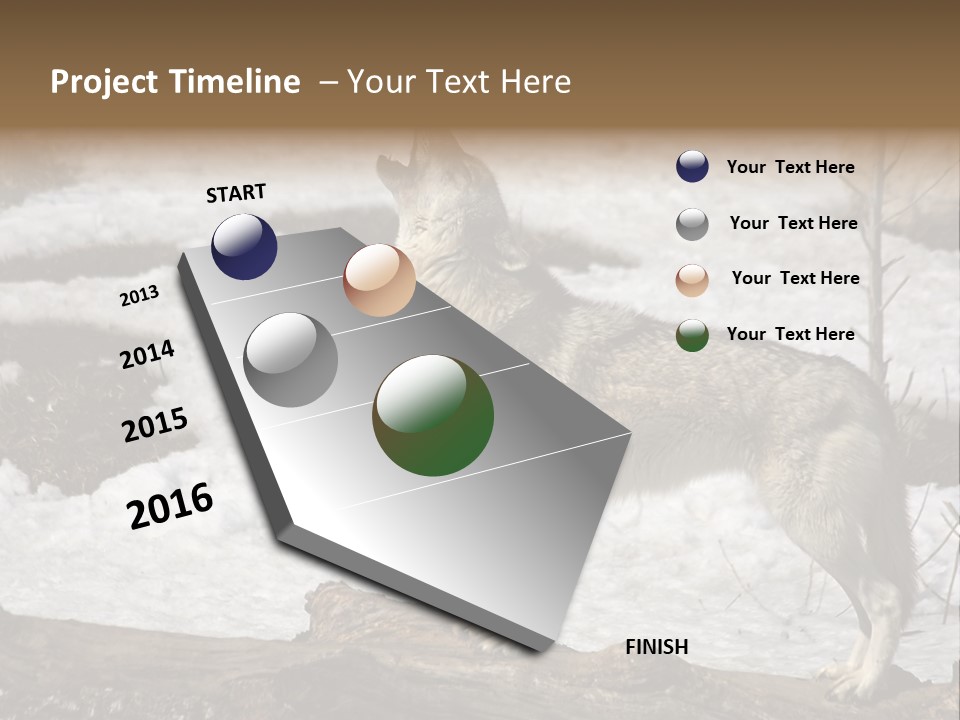 Lone Wolf Howling In Winter. PowerPoint Template