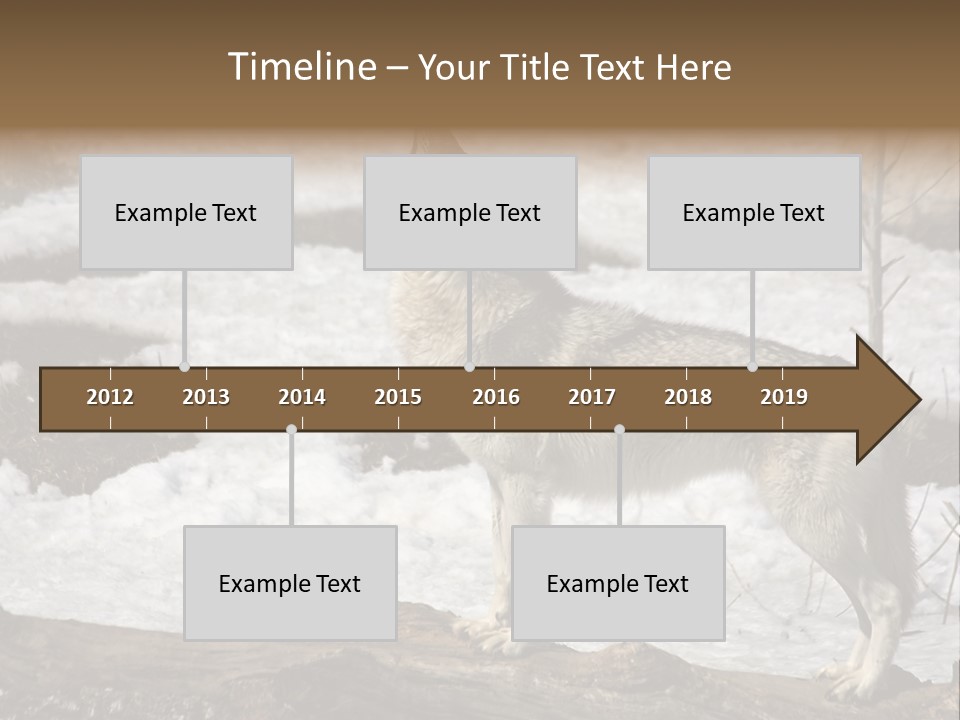 Lone Wolf Howling In Winter. PowerPoint Template