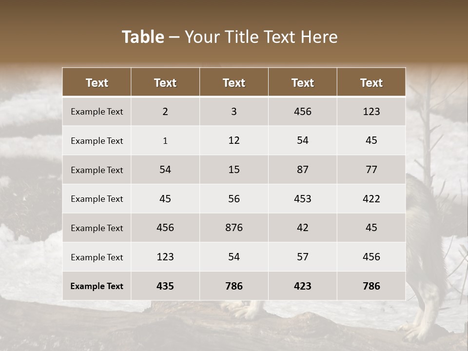 Lone Wolf Howling In Winter. PowerPoint Template