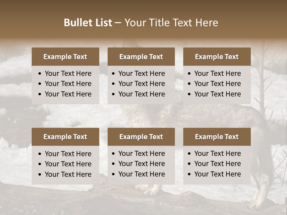 Lone Wolf Howling In Winter. PowerPoint Template