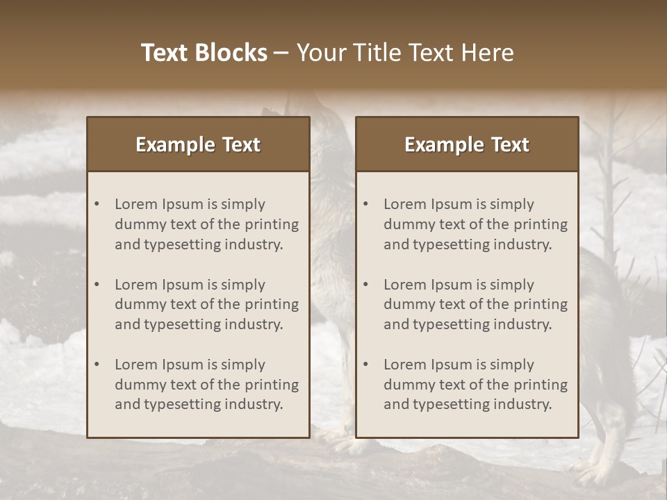 Lone Wolf Howling In Winter. PowerPoint Template