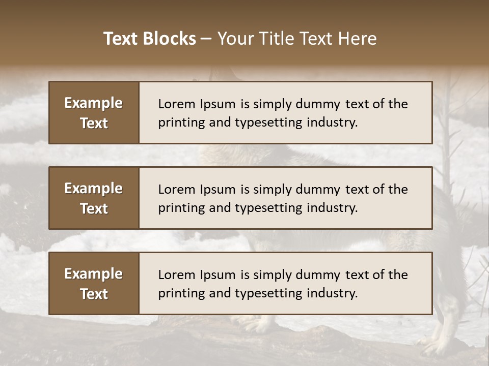 Lone Wolf Howling In Winter. PowerPoint Template