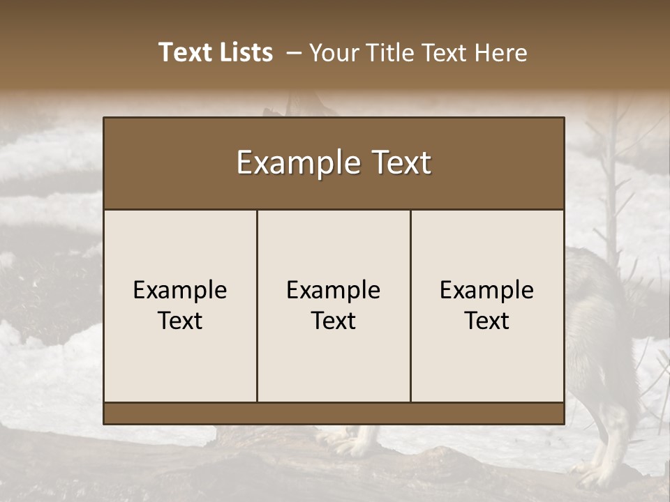 Lone Wolf Howling In Winter. PowerPoint Template