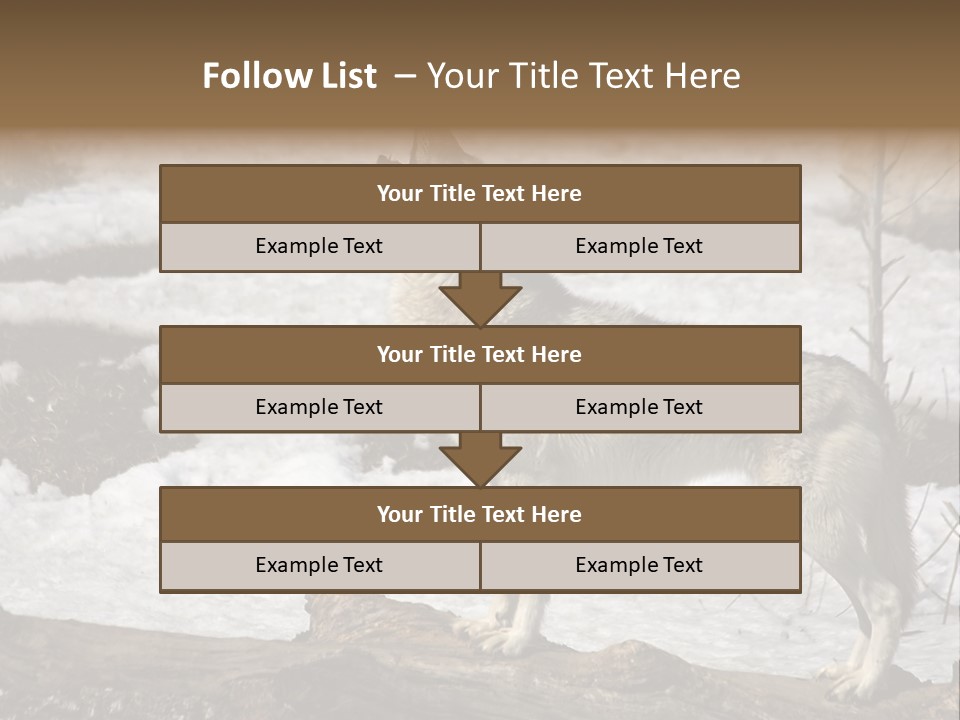 Lone Wolf Howling In Winter. PowerPoint Template