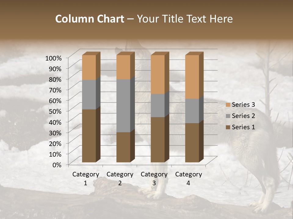 Lone Wolf Howling In Winter. PowerPoint Template