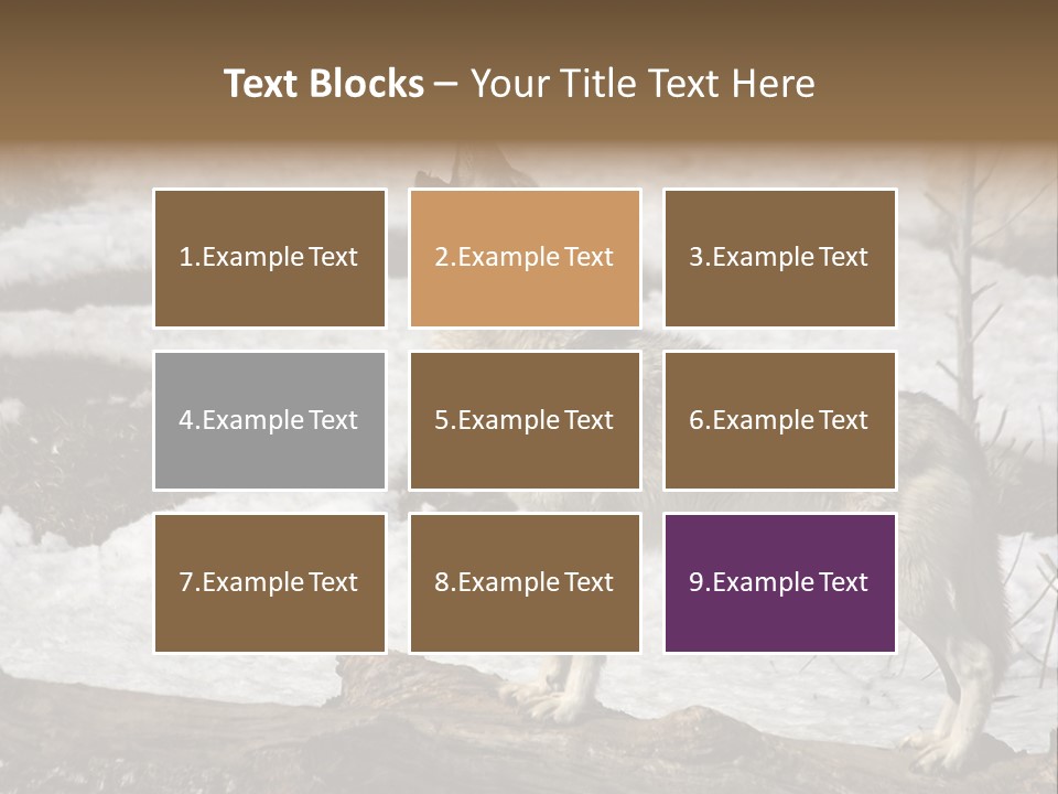 Lone Wolf Howling In Winter. PowerPoint Template