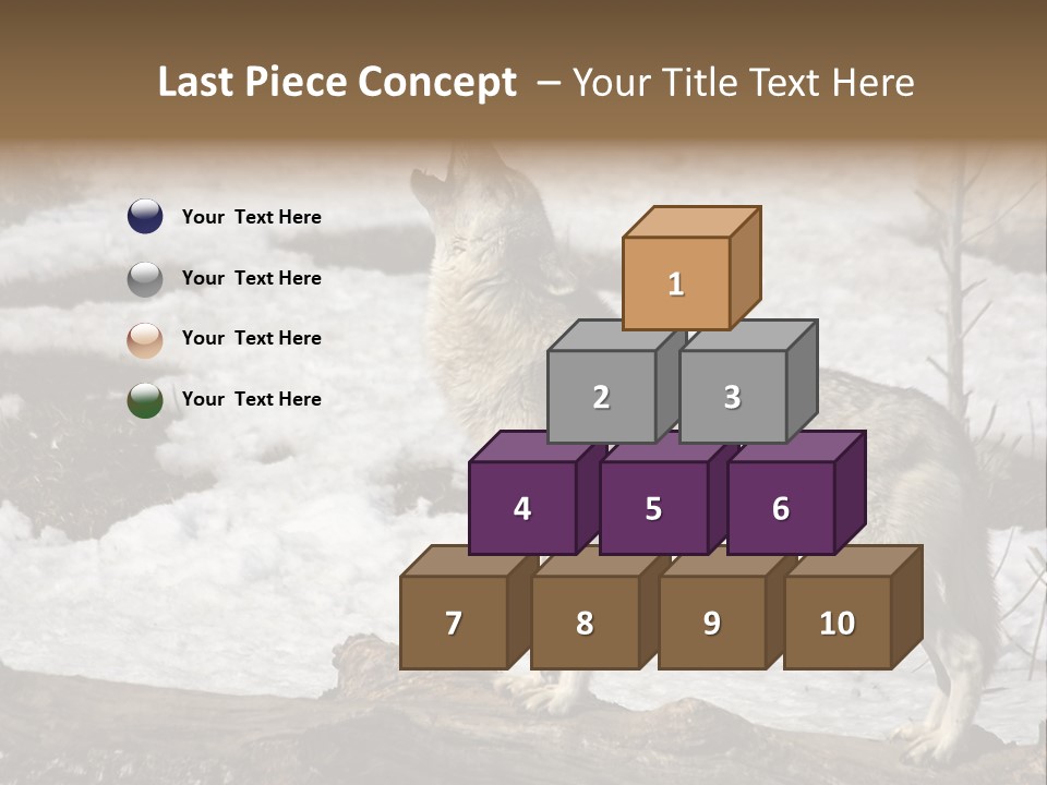 Lone Wolf Howling In Winter. PowerPoint Template