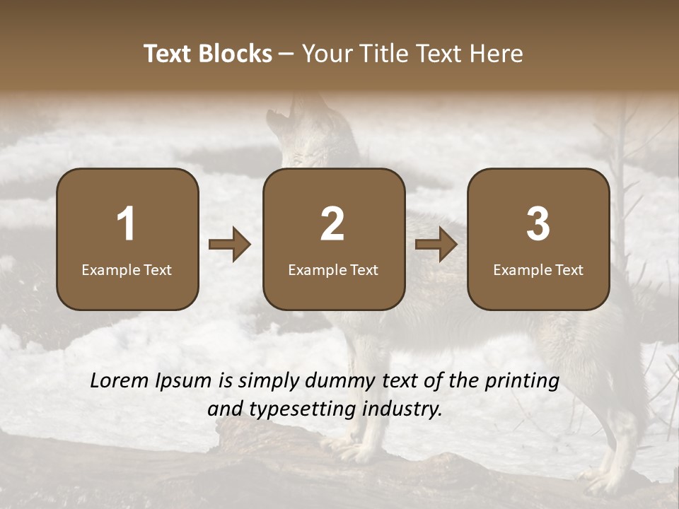 Lone Wolf Howling In Winter. PowerPoint Template