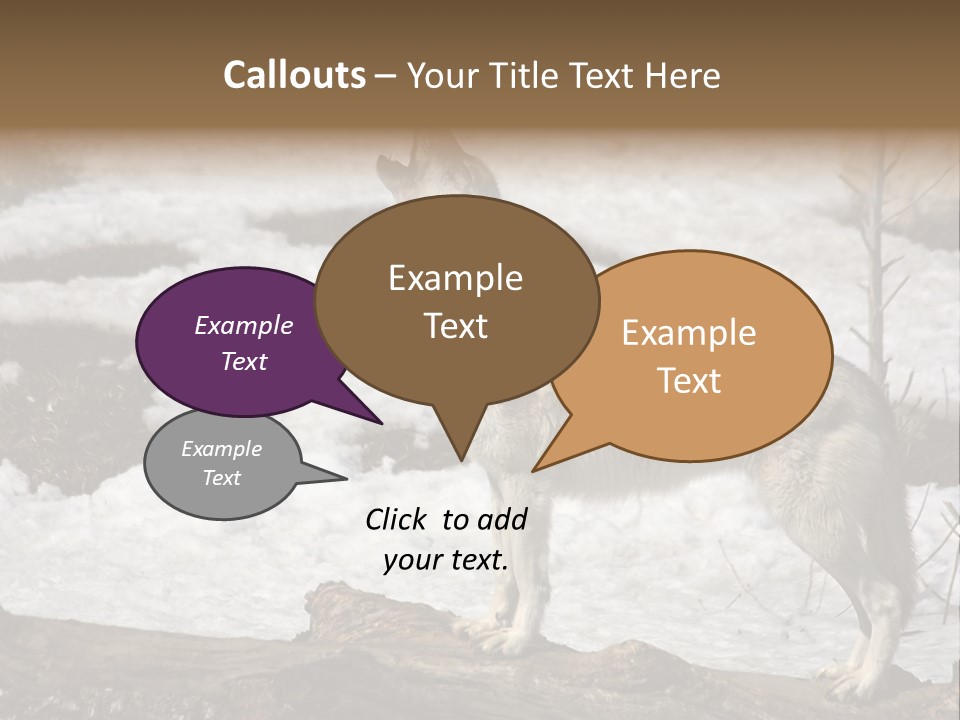 Lone Wolf Howling In Winter. PowerPoint Template
