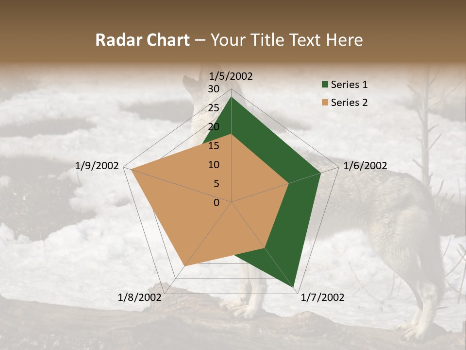 Lone Wolf Howling In Winter. PowerPoint Template