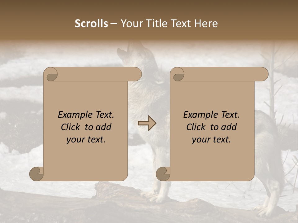 Lone Wolf Howling In Winter. PowerPoint Template