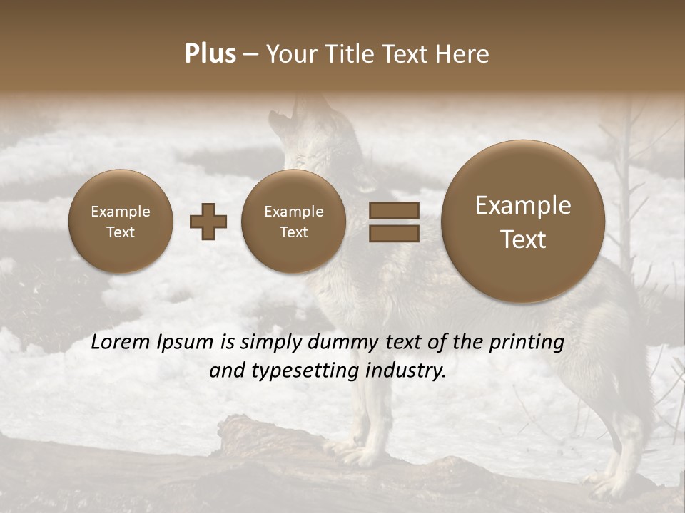 Lone Wolf Howling In Winter. PowerPoint Template