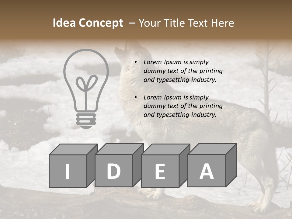 Lone Wolf Howling In Winter. PowerPoint Template