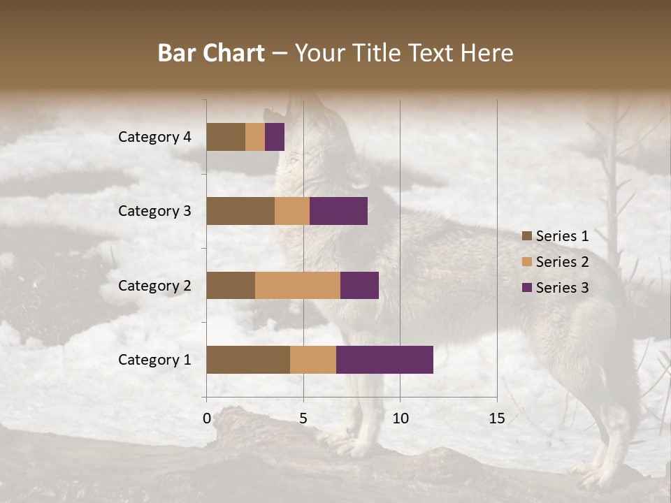 Lone Wolf Howling In Winter. PowerPoint Template