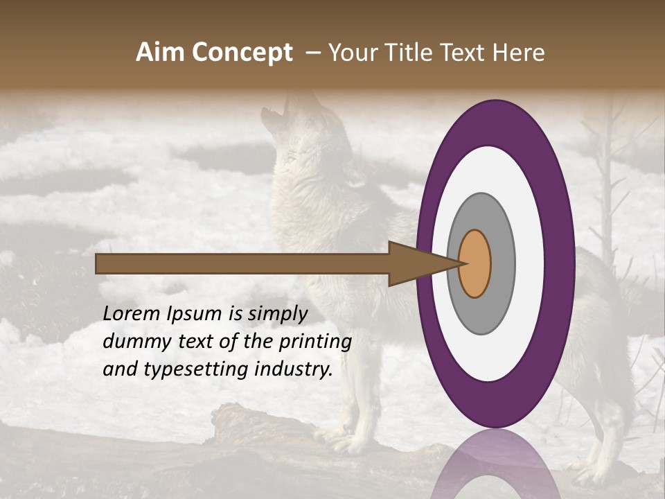 Lone Wolf Howling In Winter. PowerPoint Template