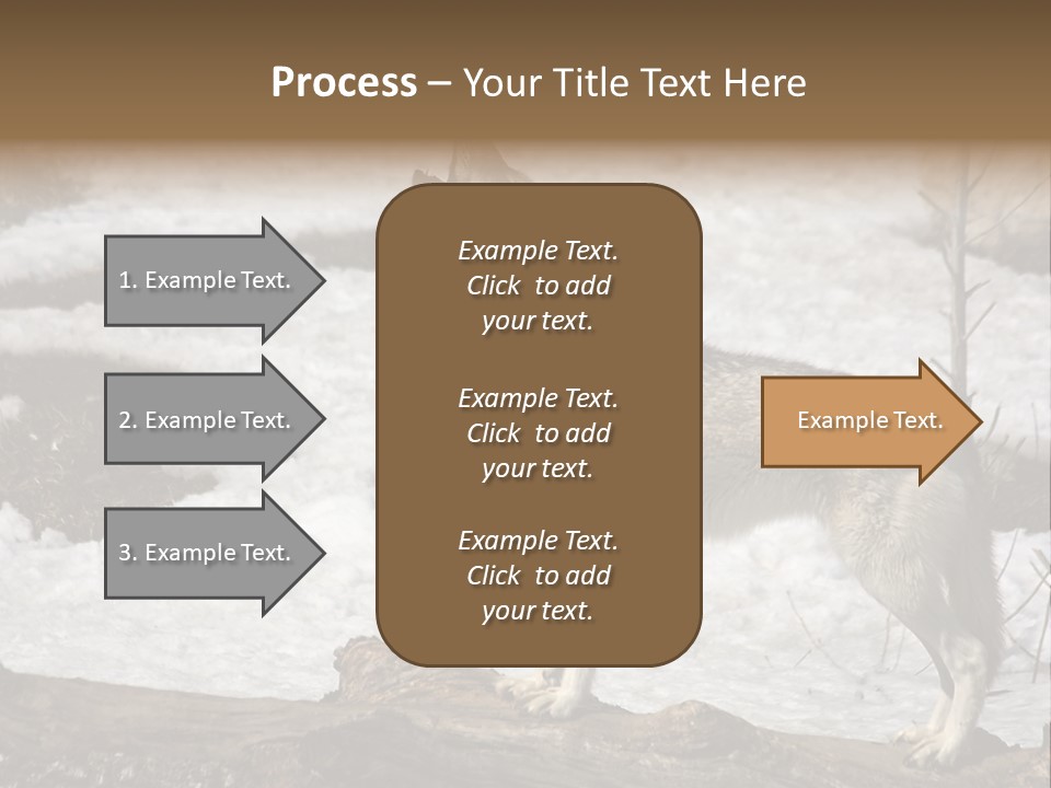 Lone Wolf Howling In Winter. PowerPoint Template