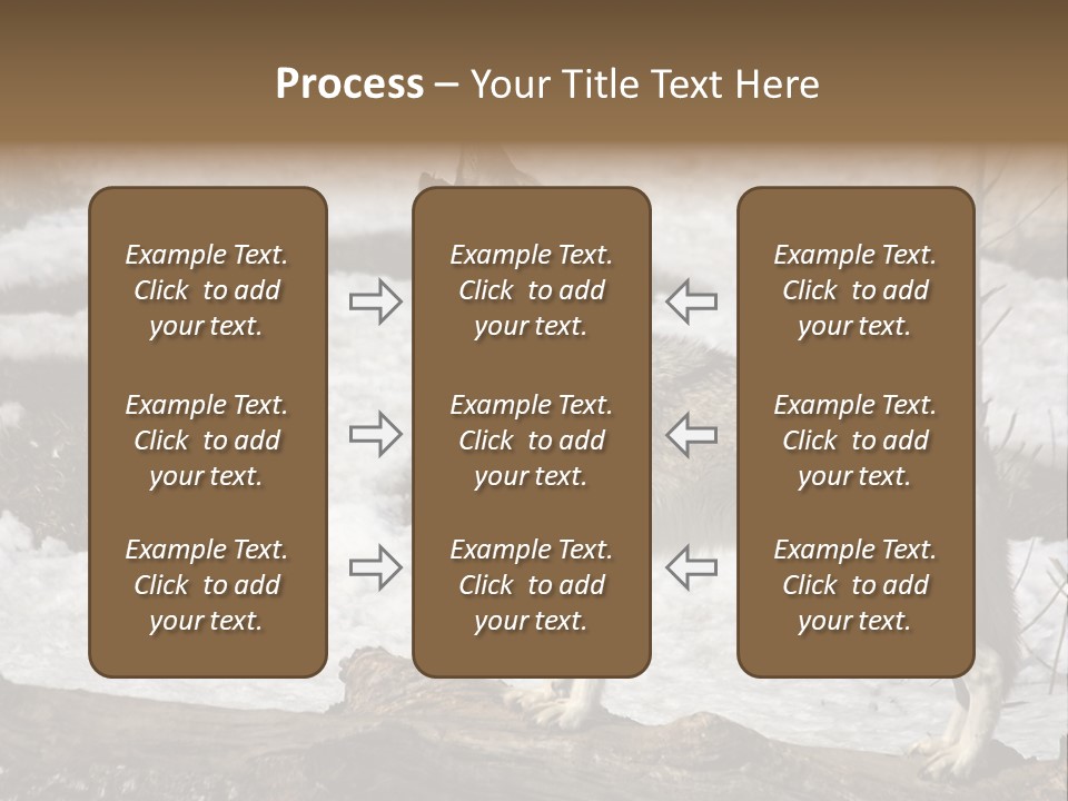 Lone Wolf Howling In Winter. PowerPoint Template