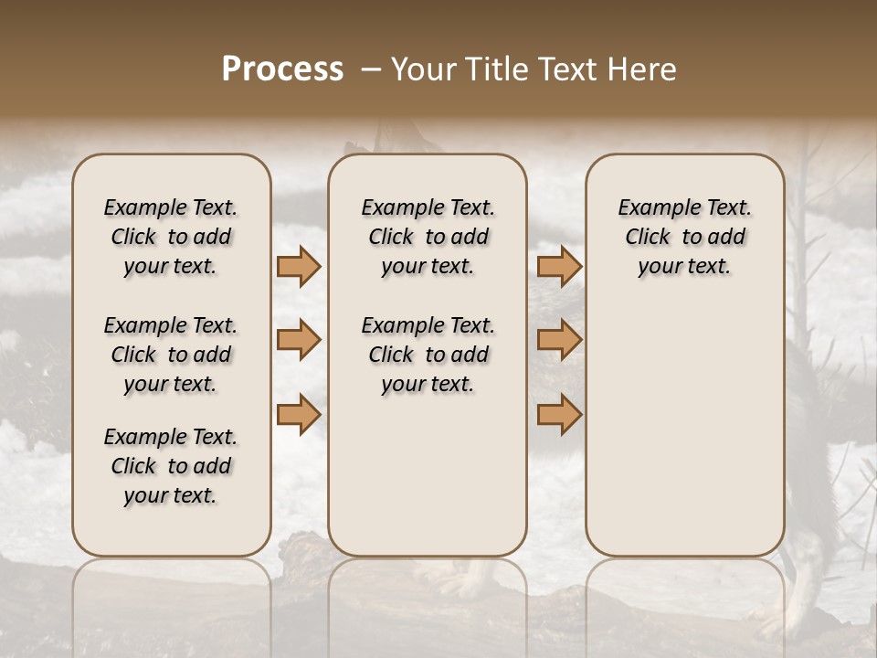 Lone Wolf Howling In Winter. PowerPoint Template
