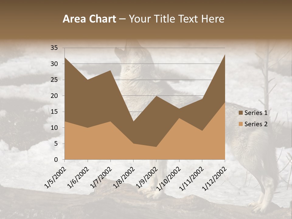 Lone Wolf Howling In Winter. PowerPoint Template
