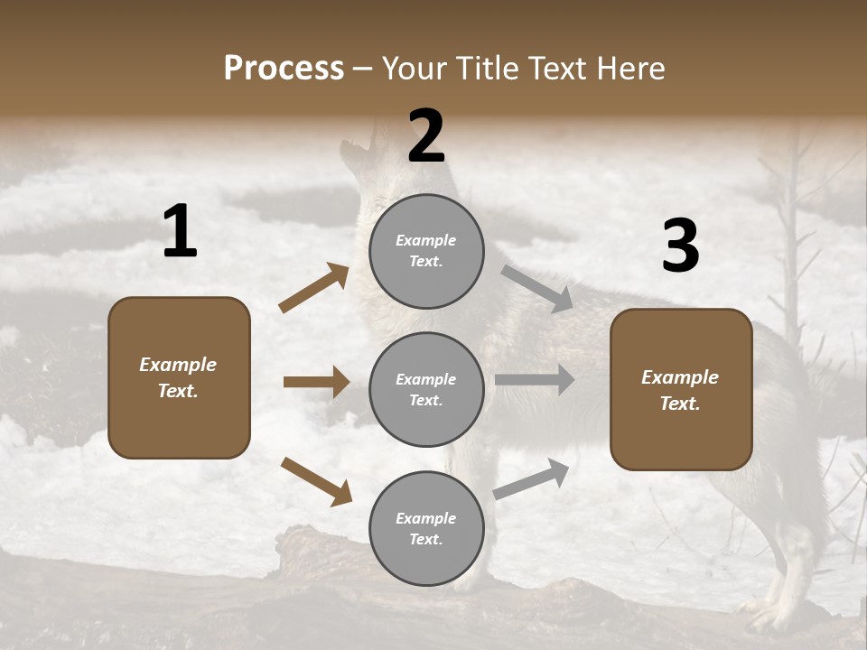 Lone Wolf Howling In Winter. PowerPoint Template