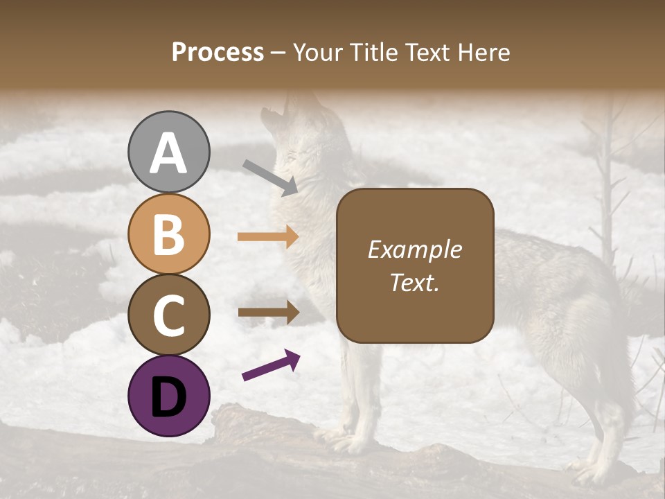 Lone Wolf Howling In Winter. PowerPoint Template