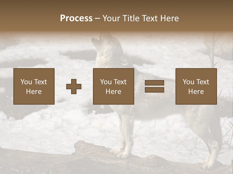 Lone Wolf Howling In Winter. PowerPoint Template