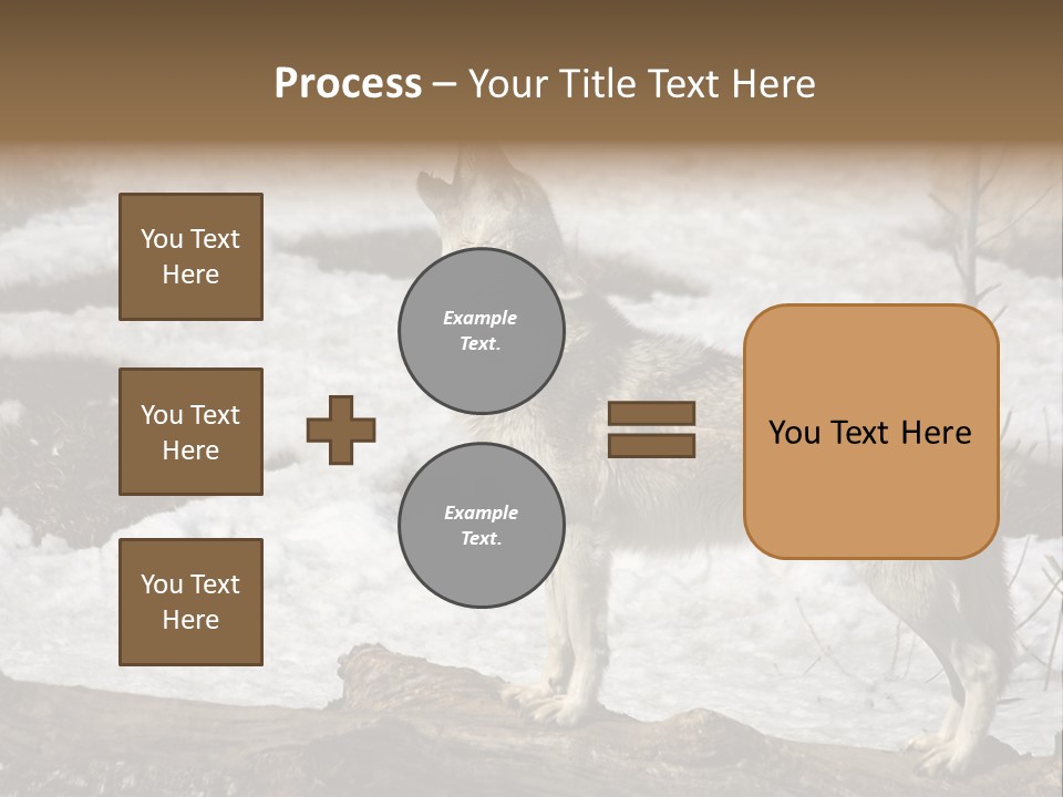 Lone Wolf Howling In Winter. PowerPoint Template