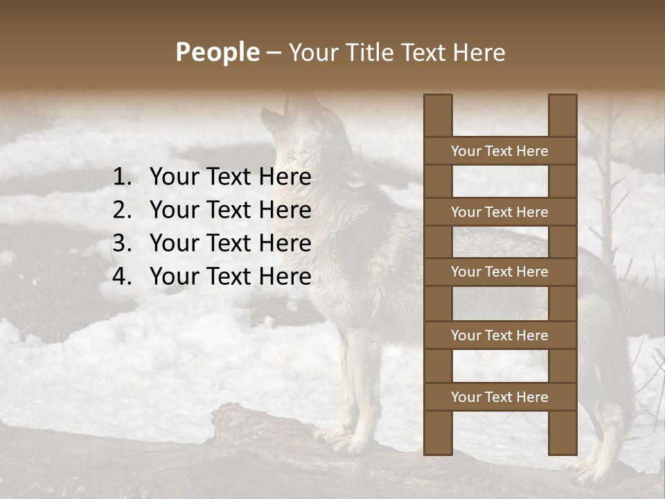 Lone Wolf Howling In Winter. PowerPoint Template
