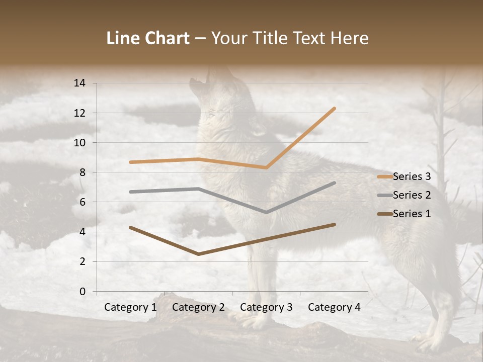 Lone Wolf Howling In Winter. PowerPoint Template