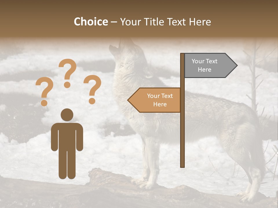 Lone Wolf Howling In Winter. PowerPoint Template