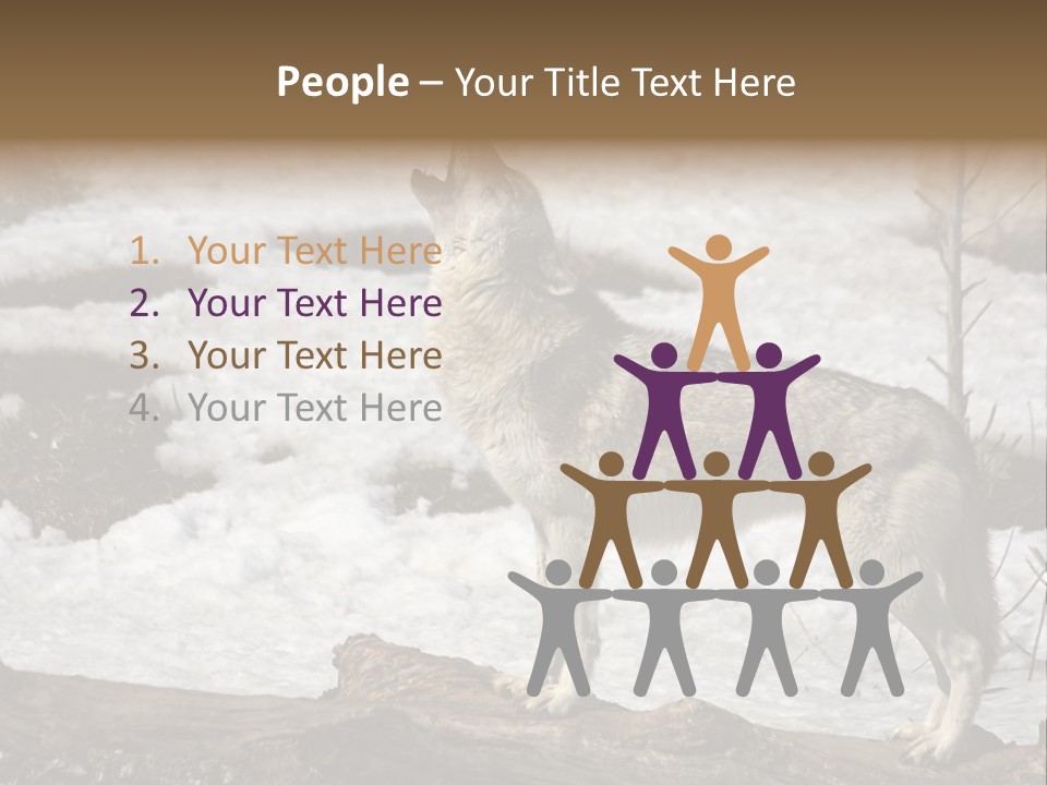 Lone Wolf Howling In Winter. PowerPoint Template