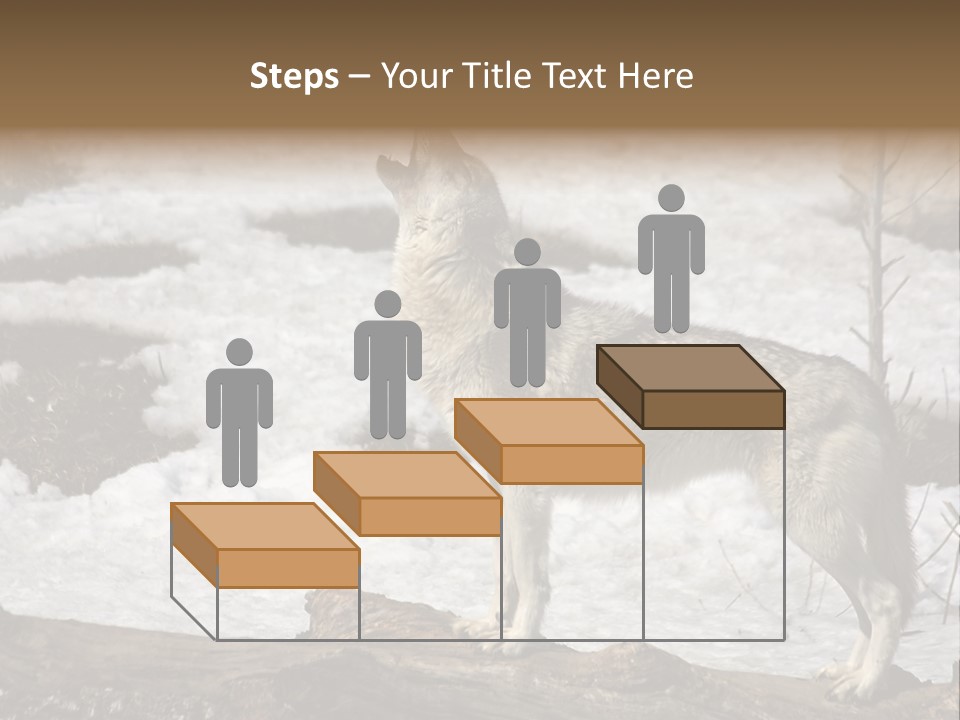 Lone Wolf Howling In Winter. PowerPoint Template