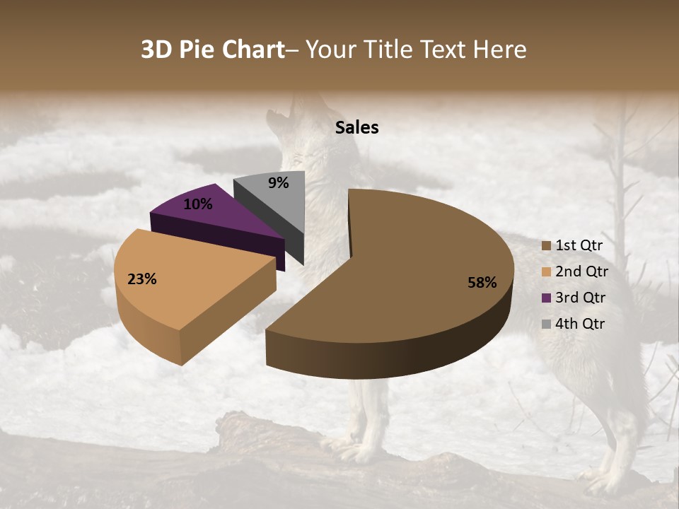 Lone Wolf Howling In Winter. PowerPoint Template