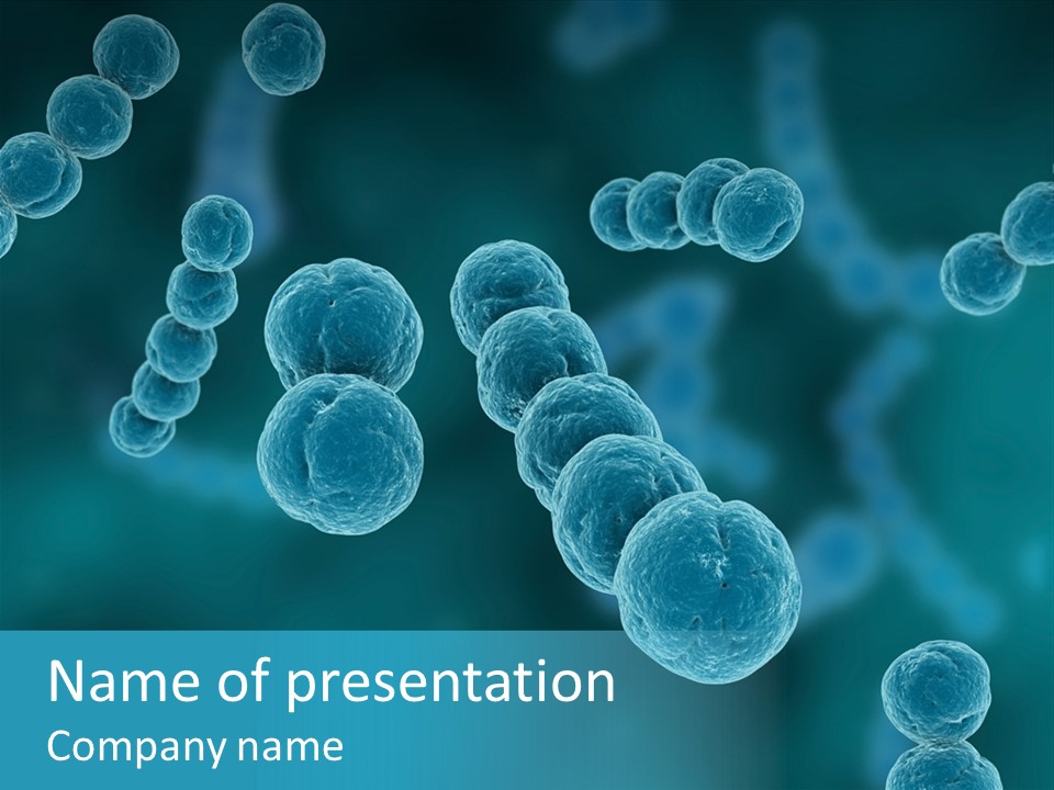 Streptococcus PowerPoint Template