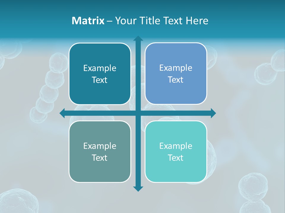 Streptococcus PowerPoint Template