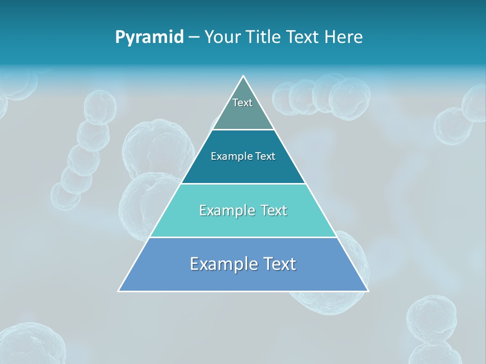 Streptococcus PowerPoint Template