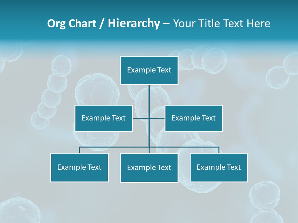 Streptococcus PowerPoint Template