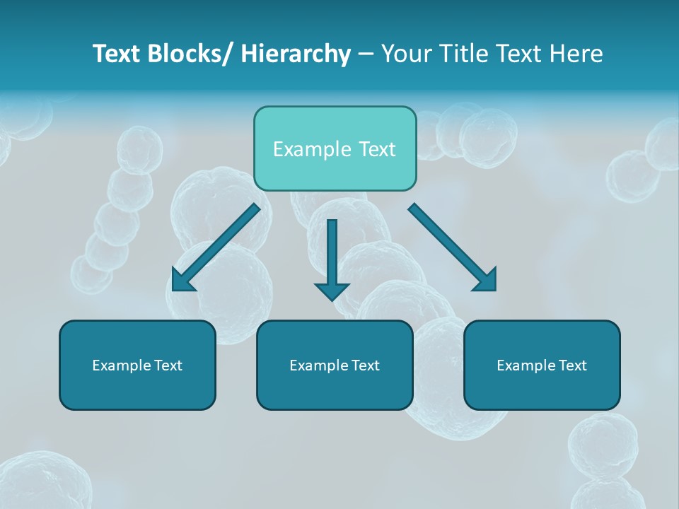 Streptococcus PowerPoint Template