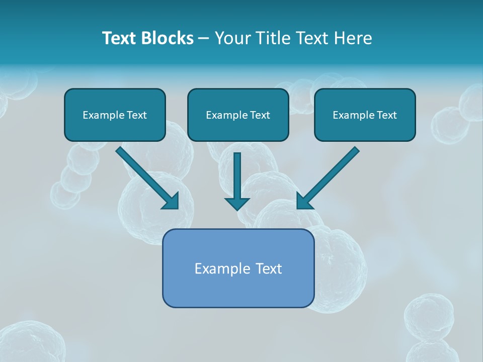 Streptococcus PowerPoint Template