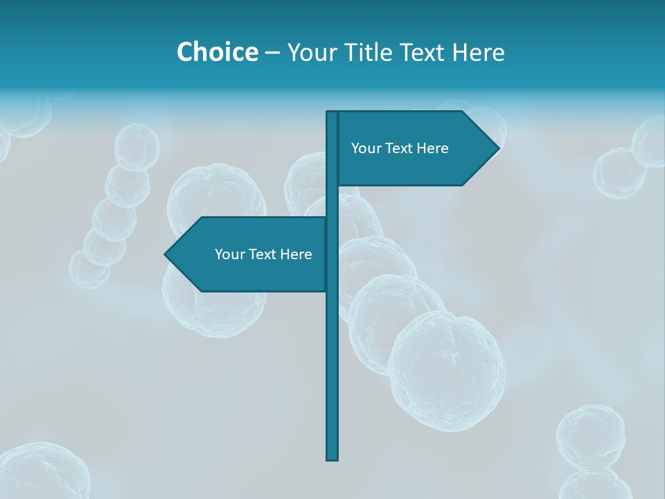 Streptococcus PowerPoint Template