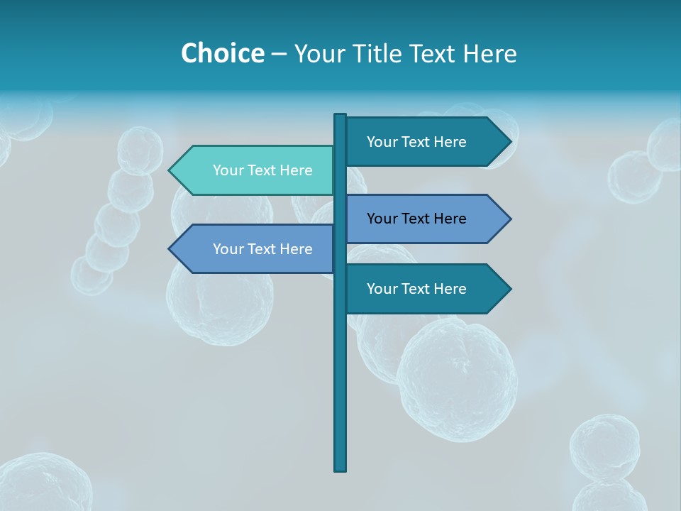 Streptococcus PowerPoint Template