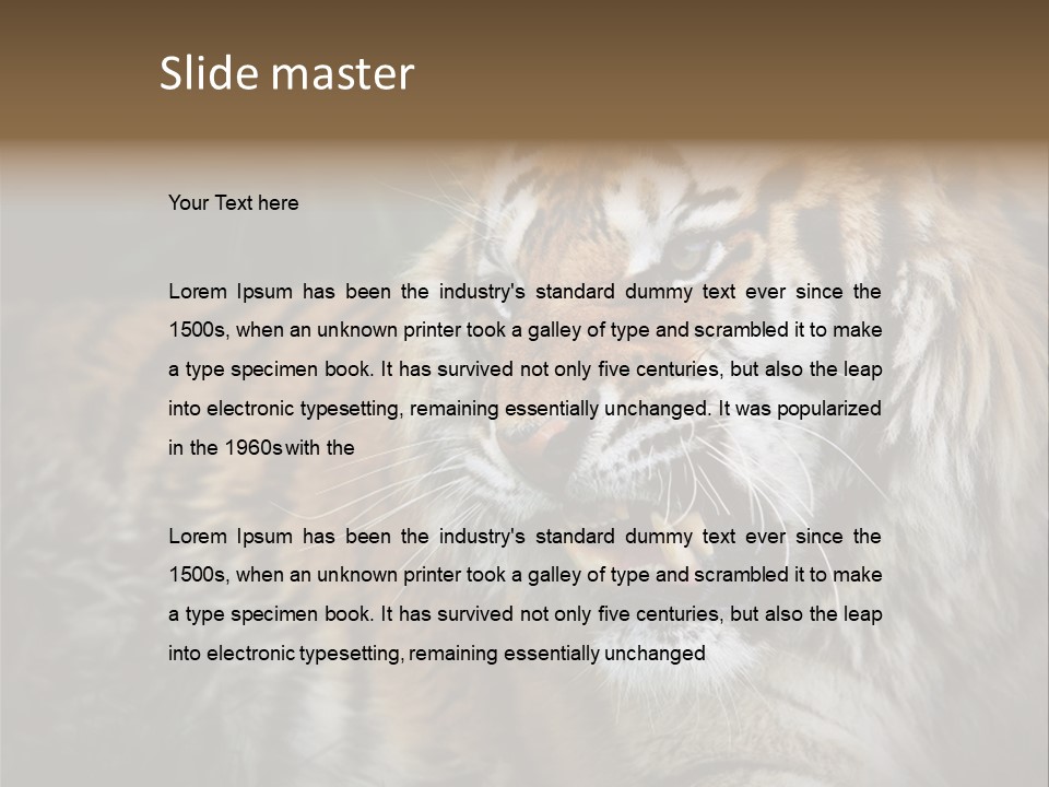 Bengal Tiger Roaring PowerPoint Template
