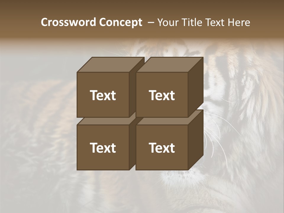 Bengal Tiger Roaring PowerPoint Template