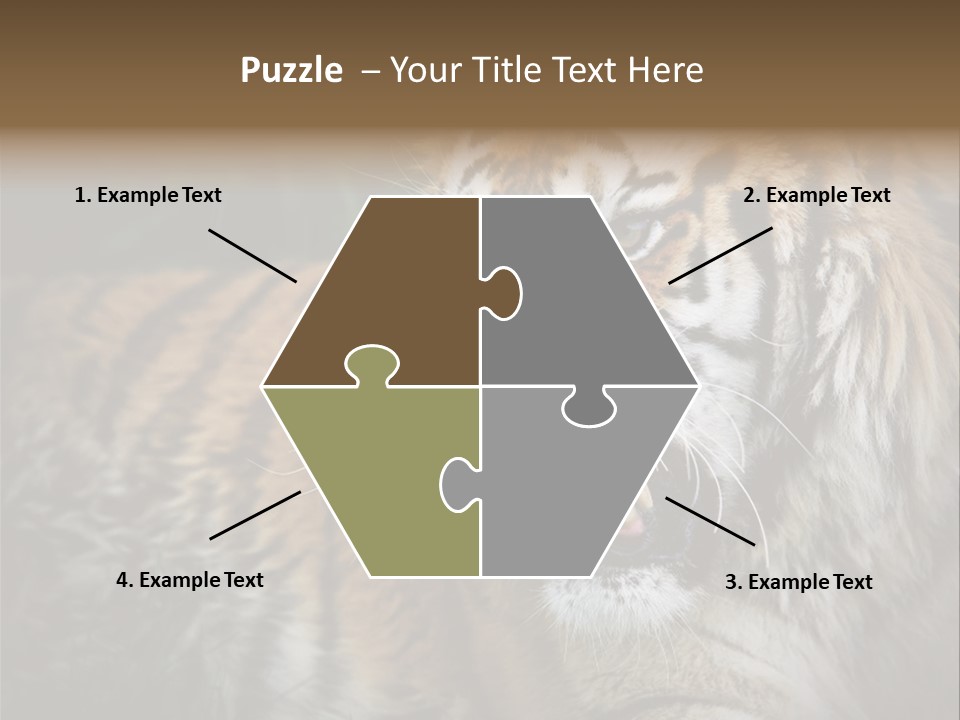 Bengal Tiger Roaring PowerPoint Template