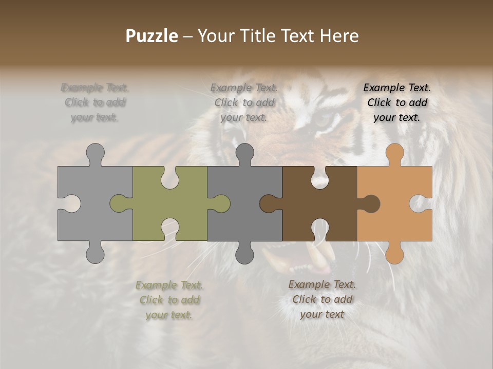 Bengal Tiger Roaring PowerPoint Template