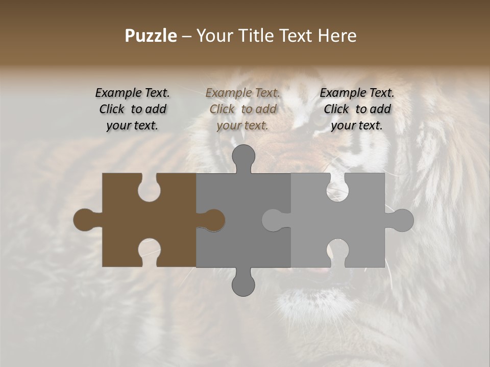 Bengal Tiger Roaring PowerPoint Template