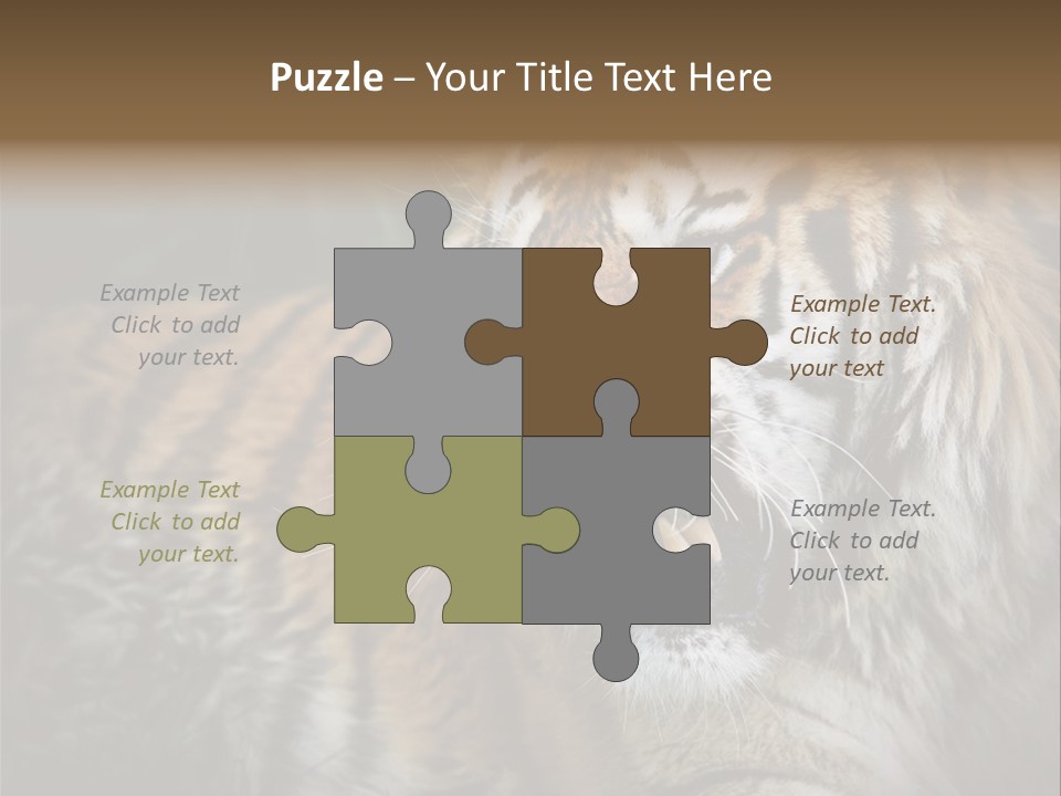 Bengal Tiger Roaring PowerPoint Template