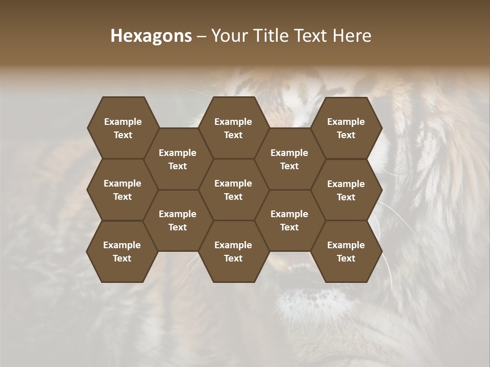 Bengal Tiger Roaring PowerPoint Template