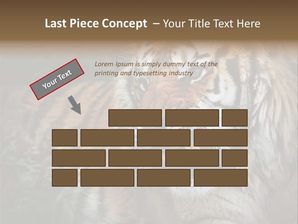 Bengal Tiger Roaring PowerPoint Template